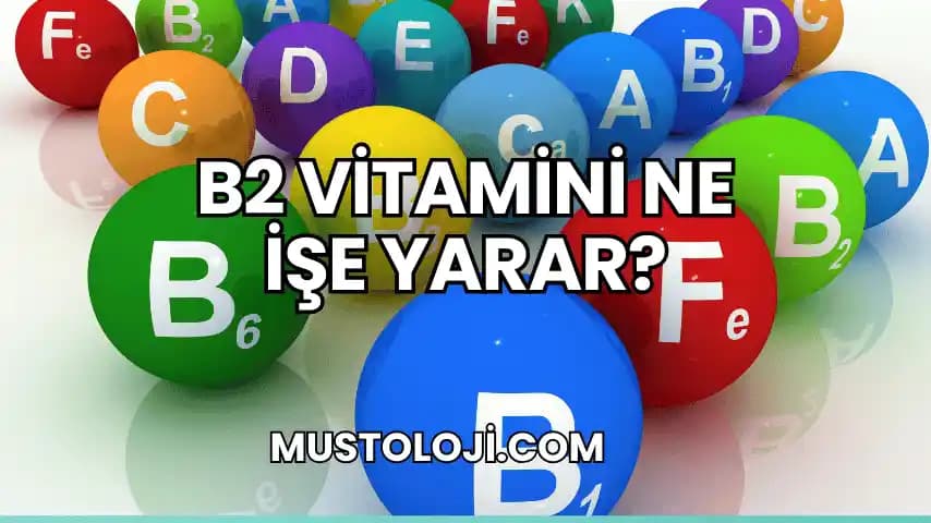 B2 Vitamini Nedir, Günlük İhtiyacı ve Sağlık Üzerindeki Etkileri Nelerdir